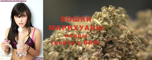 гидропоника Богданович