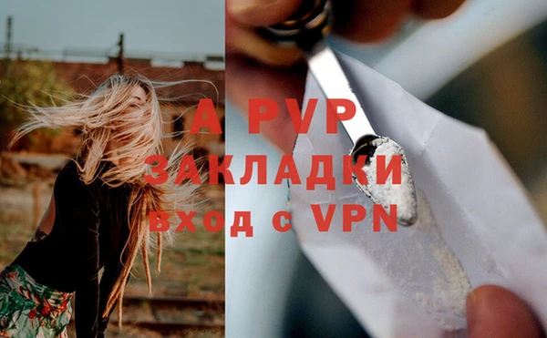 гидропоника Богданович