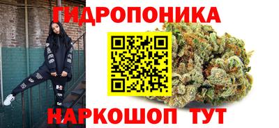 герыч Майкоп